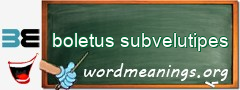 WordMeaning blackboard for boletus subvelutipes